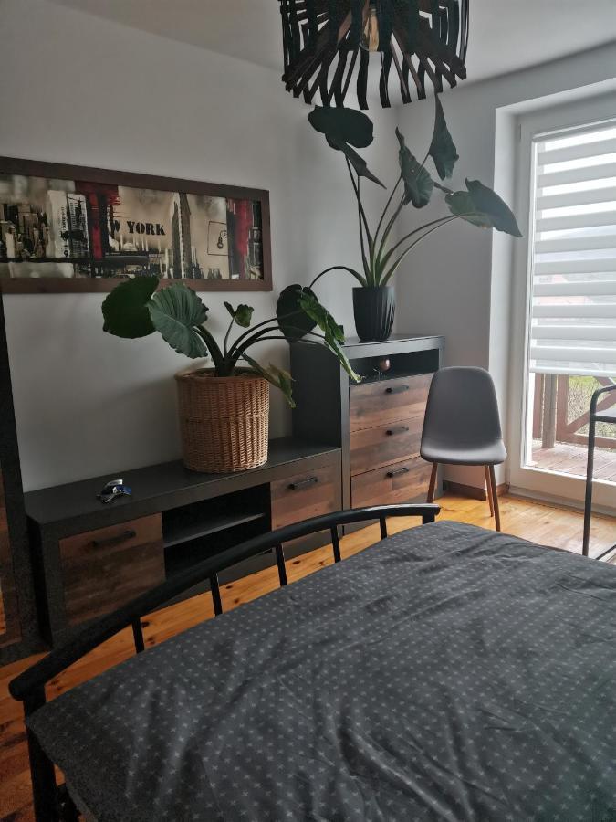 Apartament Forest Mysłakowice Eksteriør bilde