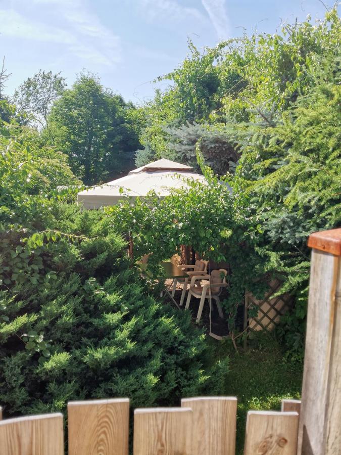 Apartament Forest Mysłakowice Eksteriør bilde