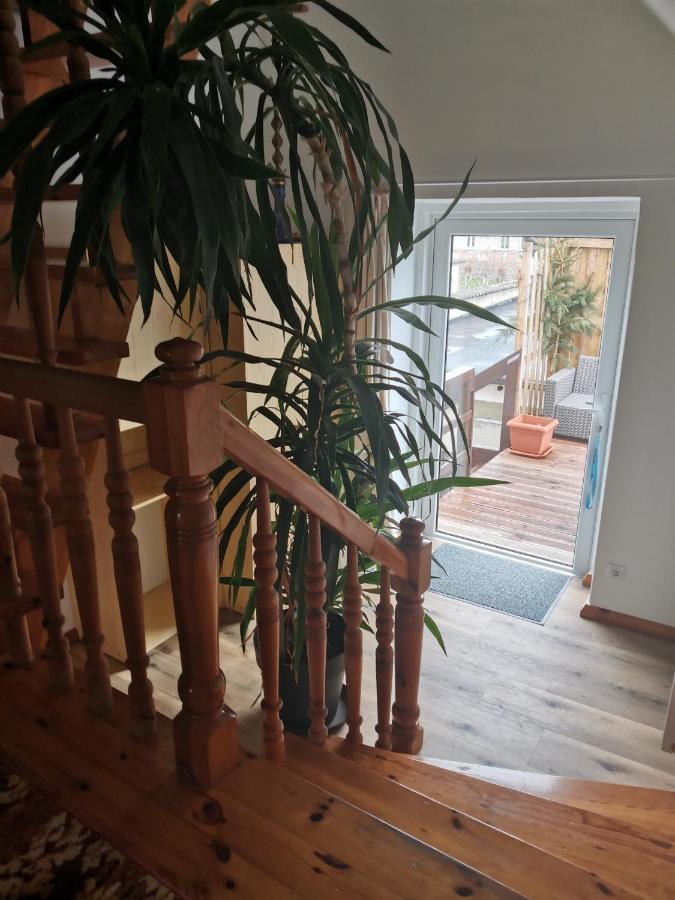 Apartament Forest Mysłakowice Eksteriør bilde