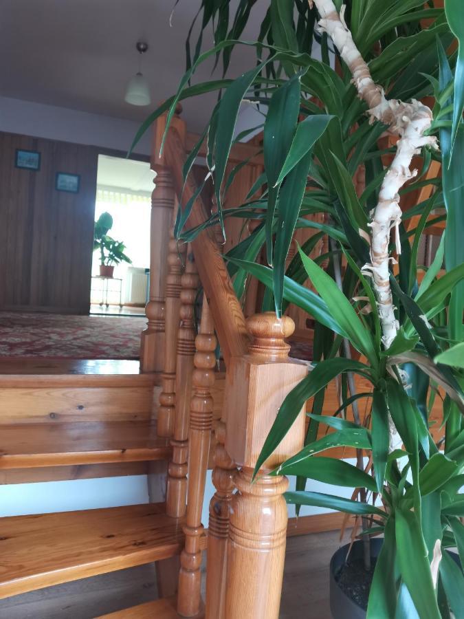 Apartament Forest Mysłakowice Eksteriør bilde